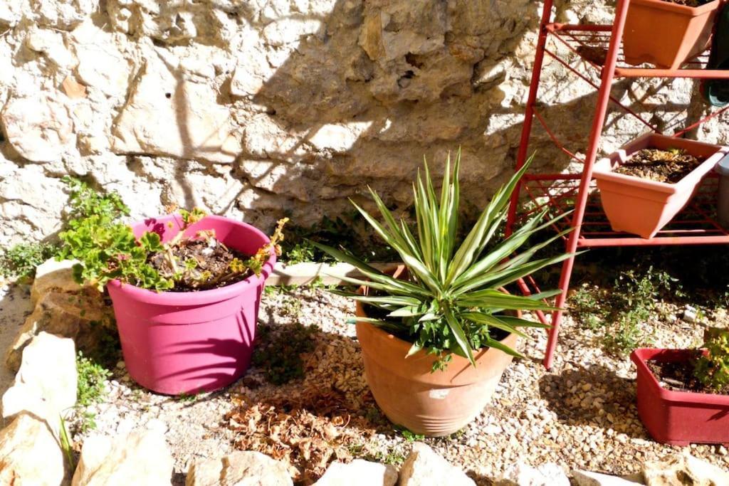 Le Loft Cosy - Centre Ville - Cadre Royal Sète Exterior foto